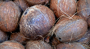 coconut-shy-hire (London, Surrey, Sussex & Kent)