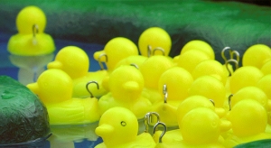 hook-a-duck